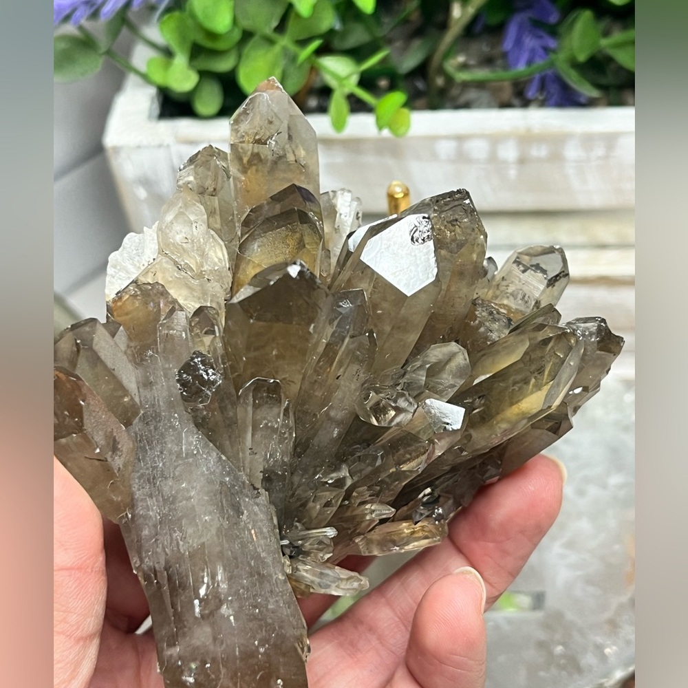 Stunning Smokey Quartz Cluster Gem Rock Collector - Picture 4 of 6